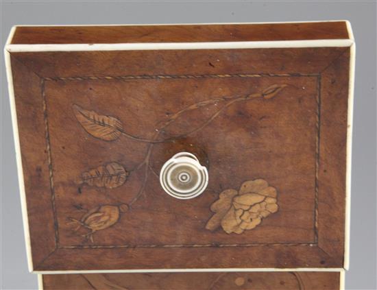 A Regency satinwood, marquetry and ivory inlaid tea caddy, width 5in.